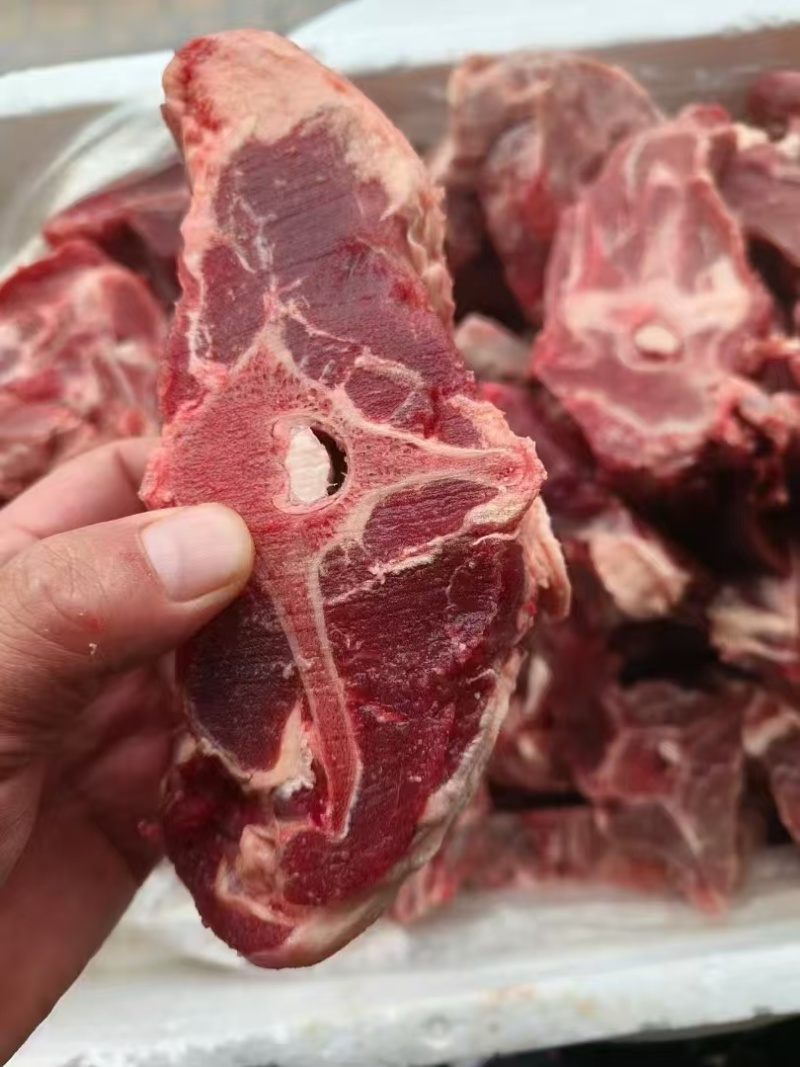 满肉羊蝎子