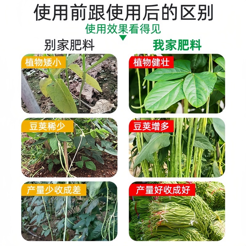 豆角专用肥豆满棵矿源黄腐酸钾型