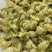 横州市茉莉茉莉花干，大小花，雪球等品种规格都有基地直供