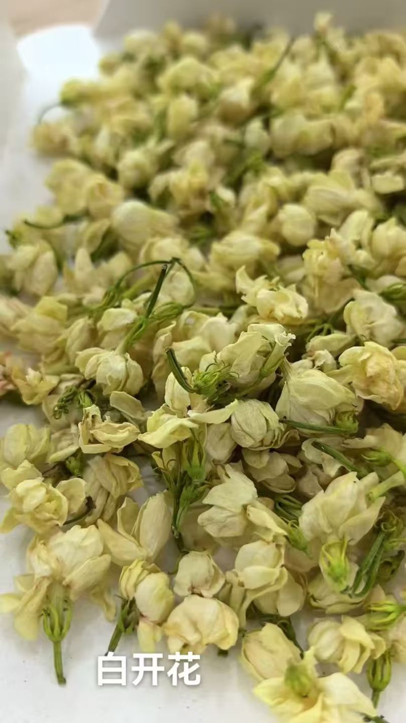 横州市茉莉茉莉花干，大小花，雪球等品种规格都有基地直供