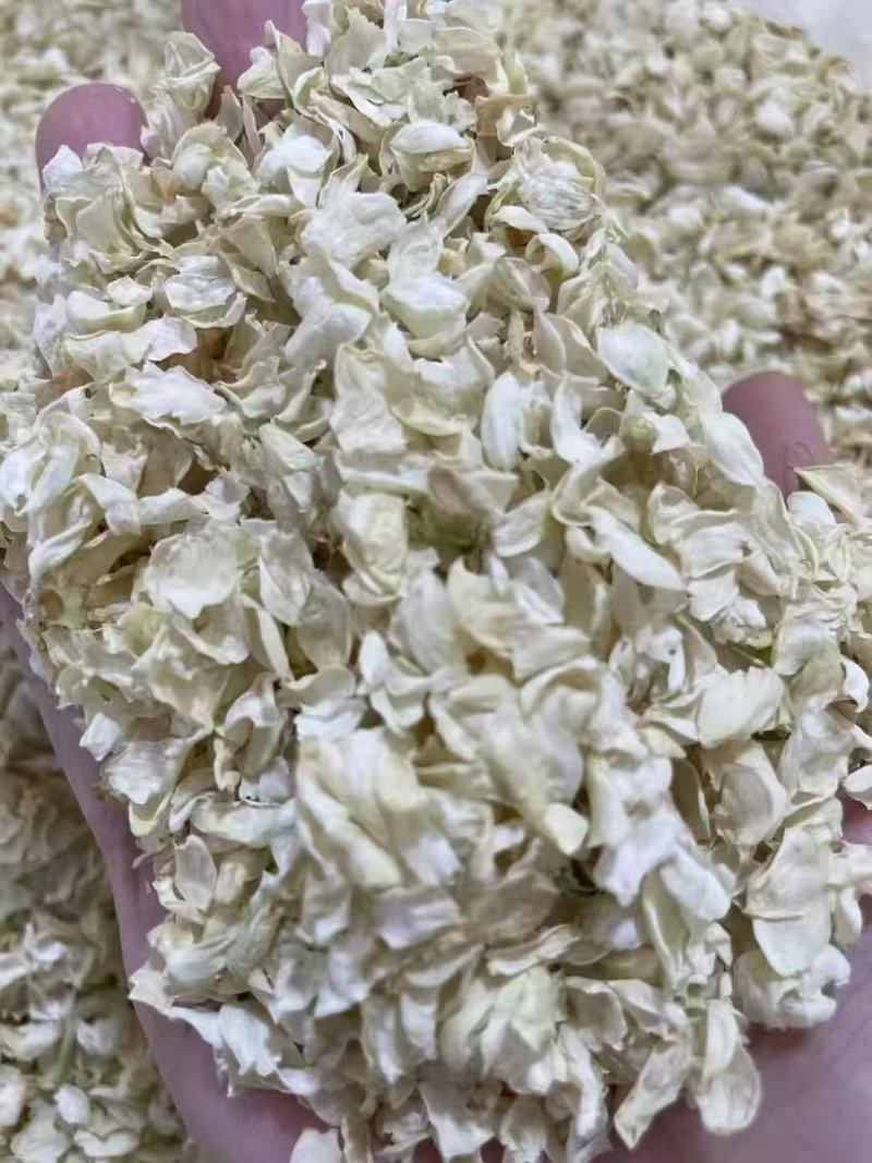 横州市茉莉茉莉花干，大小花，雪球等品种规格都有基地直供