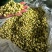 横州市茉莉茉莉花干，大小花，雪球等品种规格都有基地直供