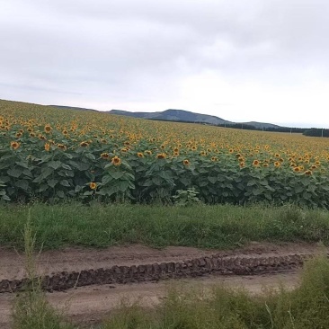 土地出租