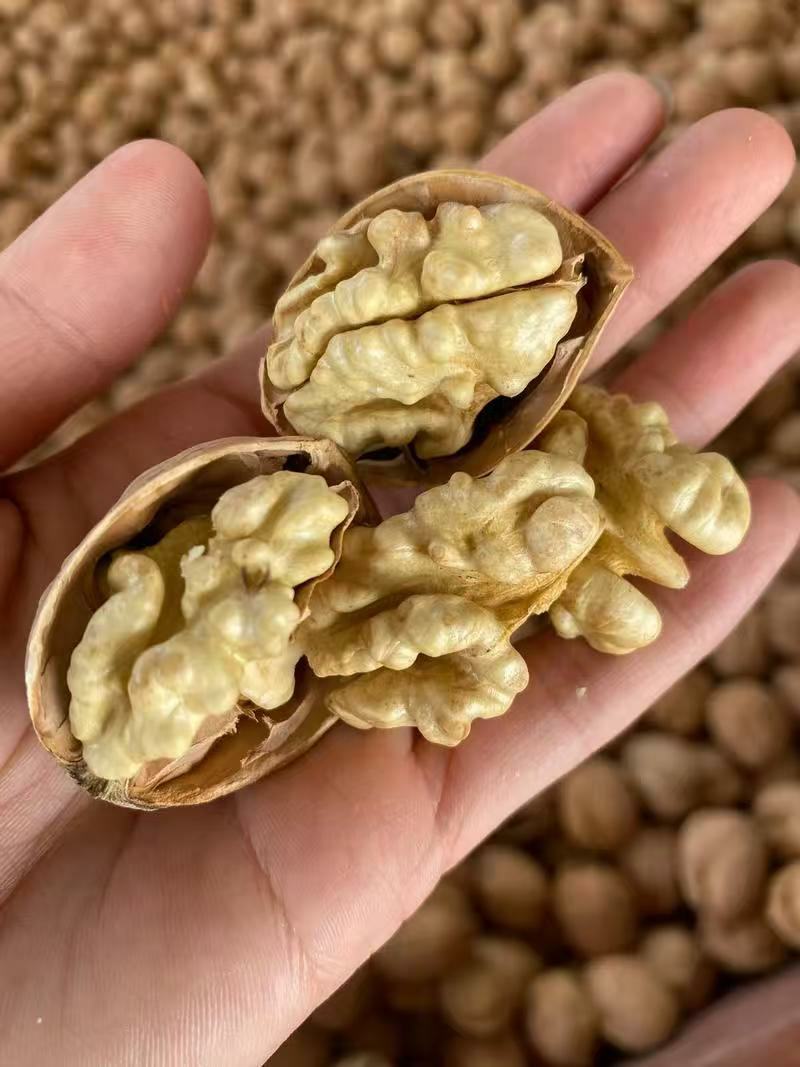 新疆纸皮核桃产地发货质量保证价格美丽欢迎全国老板联系合作
