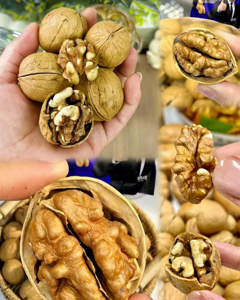 新疆纸皮核桃产地发货质量保证价格美丽欢迎全国老板联系合作