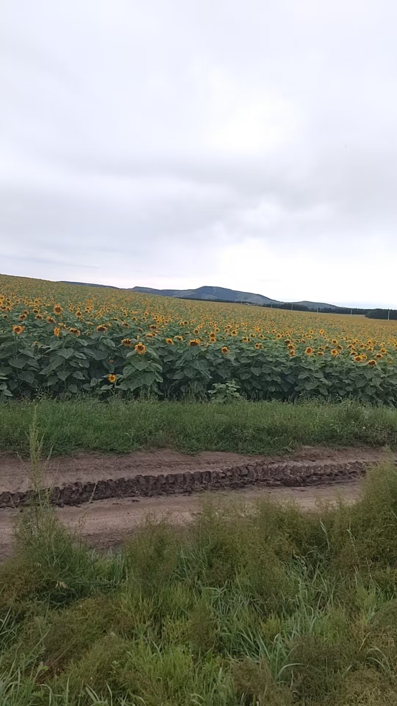 土地出租