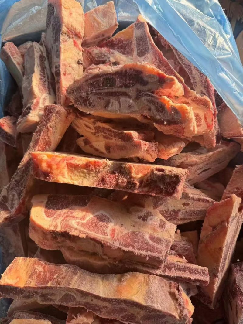 黄膘牛胸骨