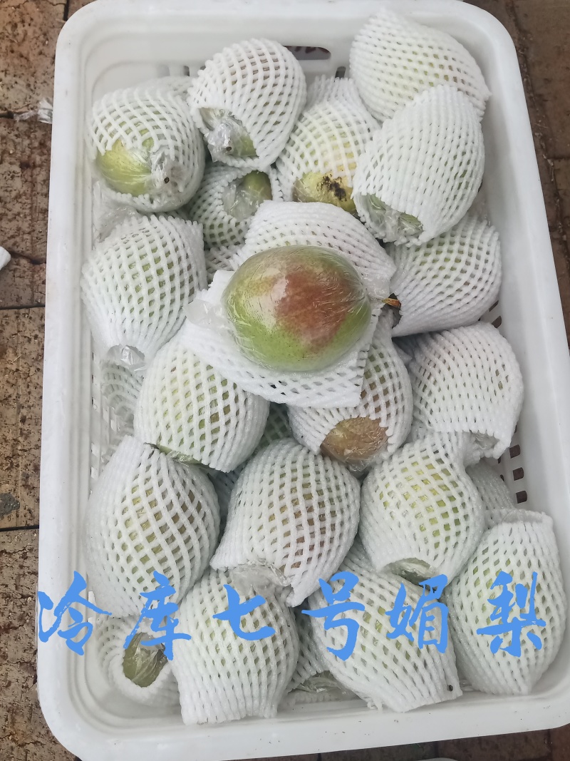 新梨七号，媚梨