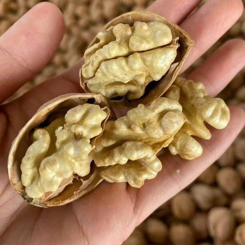 新疆185纸皮核桃干核桃产地发货一手货源批发质量保证价格