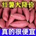 西瓜红地瓜大量开园，山东邹城市产地直销，