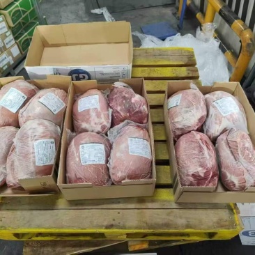 巴西2015牛霖