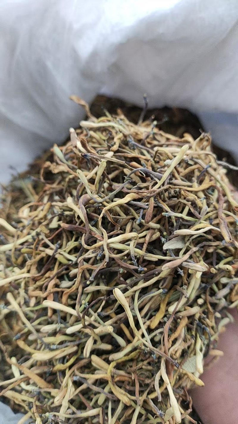 野生金银花