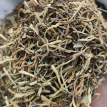 野生金银花