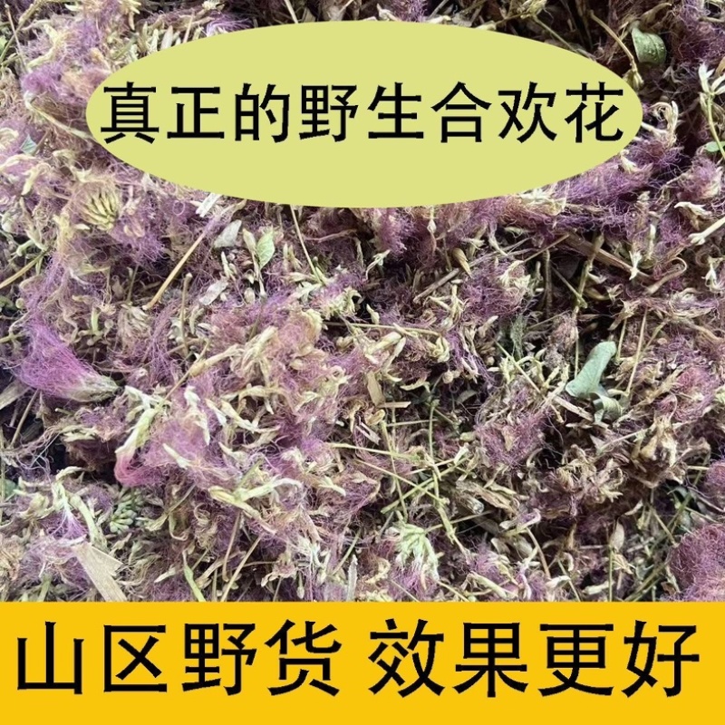 合欢花正宗野生合欢花深山采摘合欢花正宗合欢花批发零售
