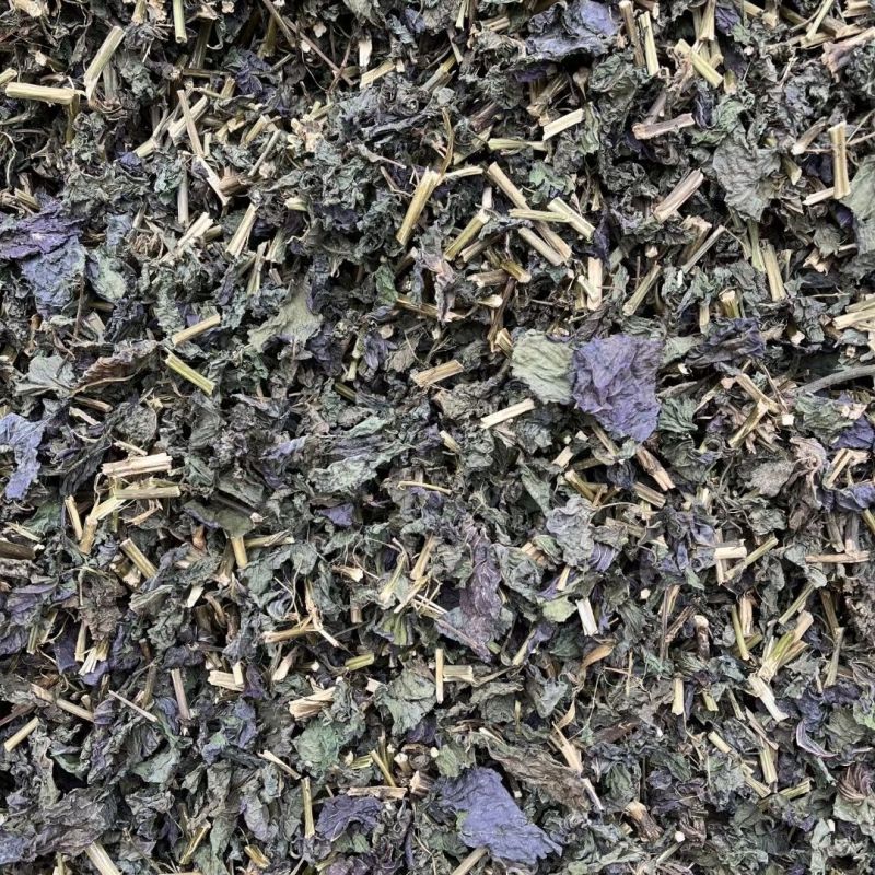 紫苏叶干紫苏叶中药材无梗香料野生天然纯新鲜干苏叶泡茶泡脚