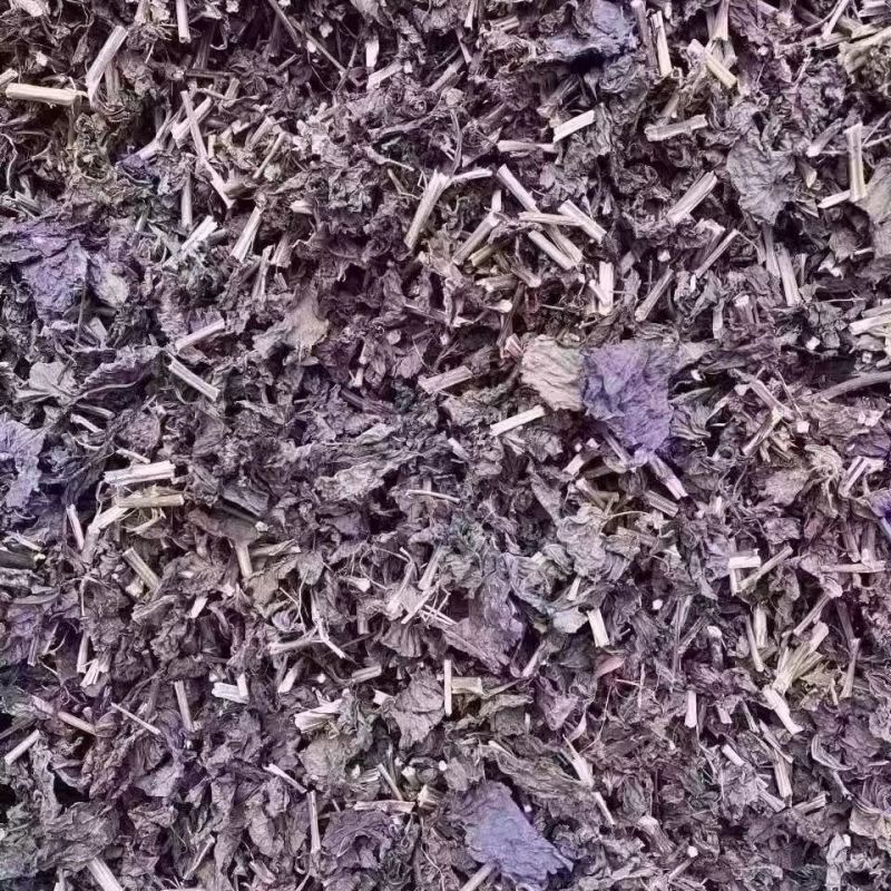 紫苏叶干紫苏叶中药材无梗香料野生天然纯新鲜干苏叶泡茶泡脚