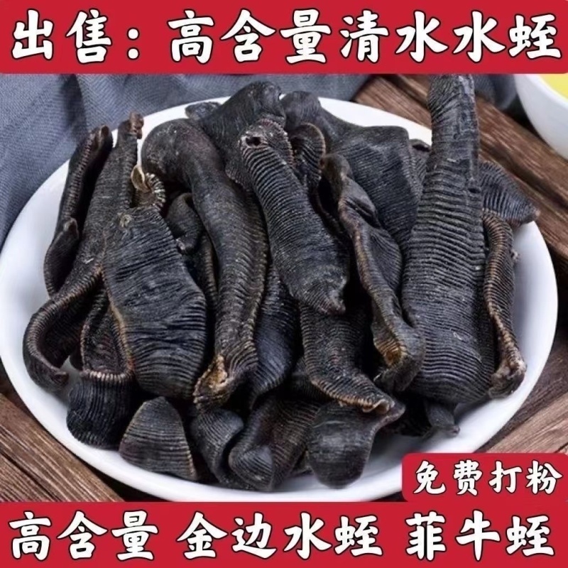 水蛭清水吊干水蛭盐水蛭盐城道地野生含量更高批发零售