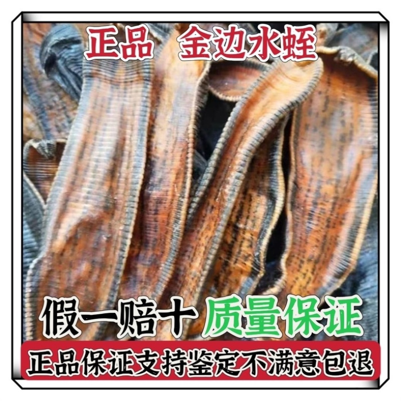 水蛭清水吊干水蛭盐水蛭盐城道地野生含量更高批发零售
