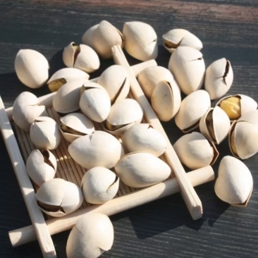 银杏果干果烤白果