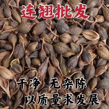 连翘野生中药材正品新货精选连翘无硫烘干批发零售