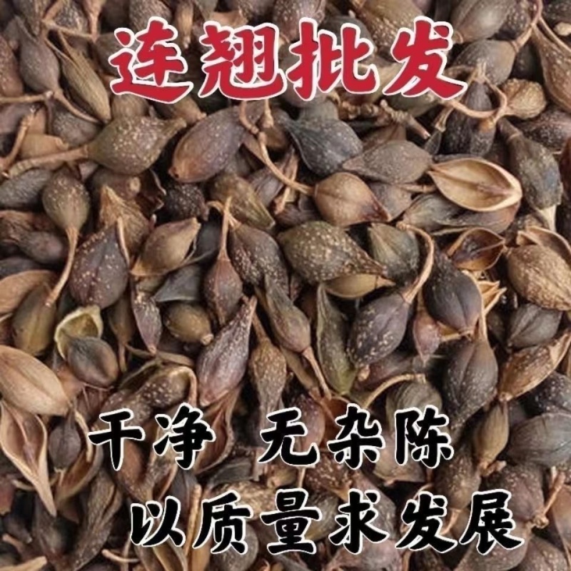 连翘野生中药材正品新货精选连翘无硫烘干批发零售