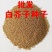 芥菜子种子白芥子种子黄芥子种子芥花种子易种花籽庭院四季辣
