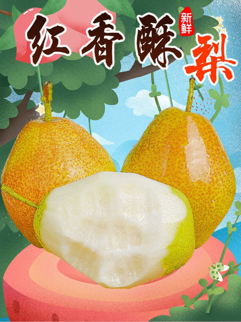 山西运城红香酥梨