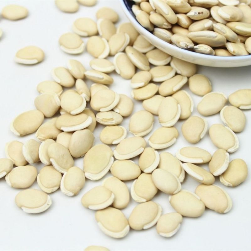 云南农家白扁豆药用白扁豆五谷杂粮**豆类新货白扁豆新豆煲