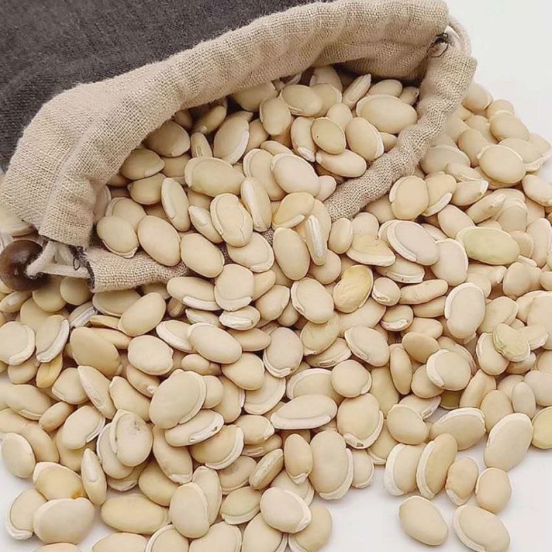 云南农家白扁豆药用白扁豆五谷杂粮**豆类新货白扁豆新豆煲