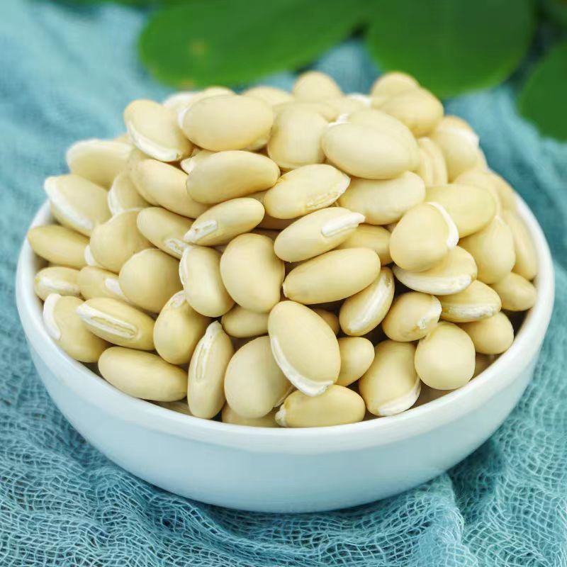 云南农家白扁豆药用白扁豆五谷杂粮**豆类新货白扁豆新豆煲
