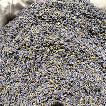 熏衣草花新疆熏衣草产地直销大货供应泡水香包