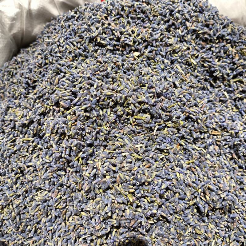 熏衣草花新疆熏衣草产地直销大货供应泡水香包