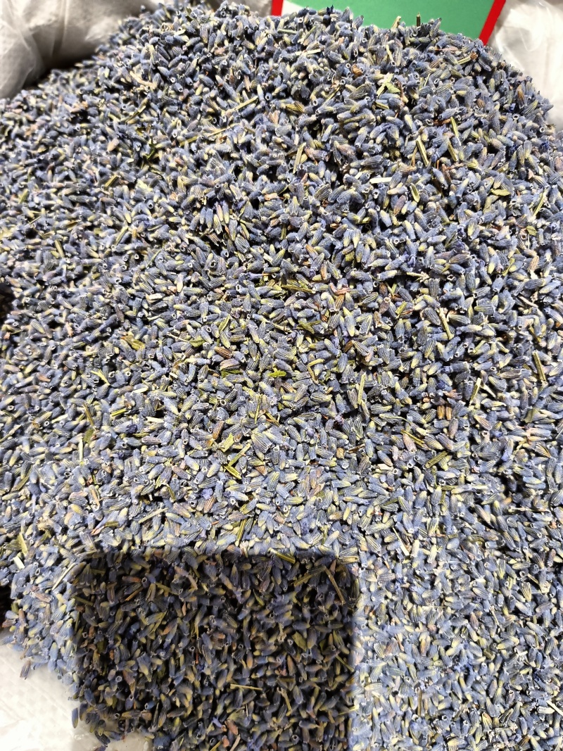 熏衣草花新疆熏衣草产地直销大货供应泡水香包