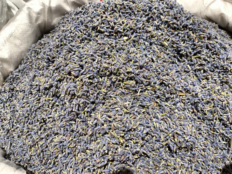 熏衣草花新疆熏衣草产地直销大货供应泡水香包