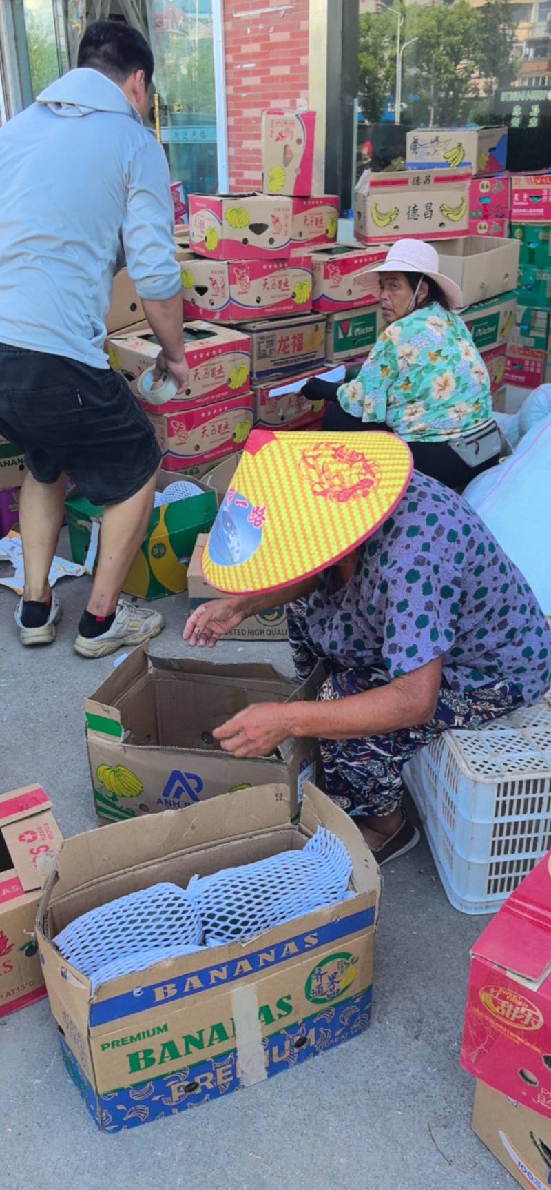 江苏南通小冬瓜水果冬瓜海门