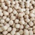 【油豆泡】厂家直销量大价优，直播带货，一件代发