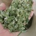 脱水香葱片应季供应超高性，欢迎电商，实体工厂老板们咨询，