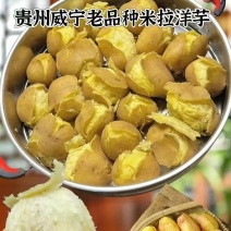 大量出售贵州省毕节市威宁黄心土豆，威宇7号，3号，青薯等等。