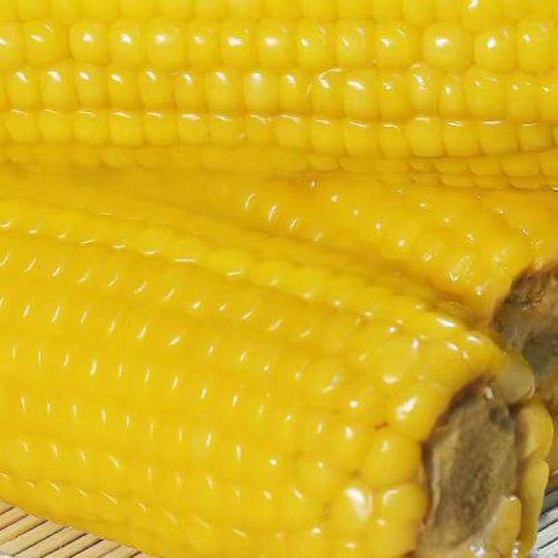 玉米选用万全糯玉米加工