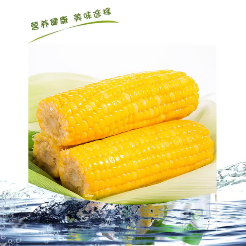 玉米选用万全糯玉米加工