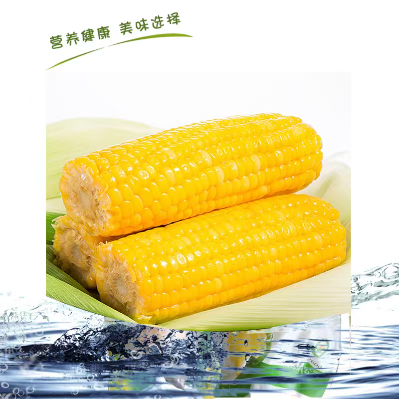 玉米选用万全糯玉米加工