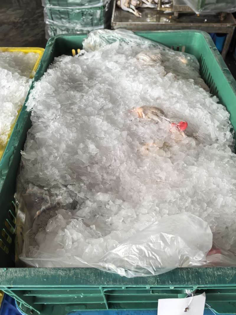 屠宰场鲜鸡批发