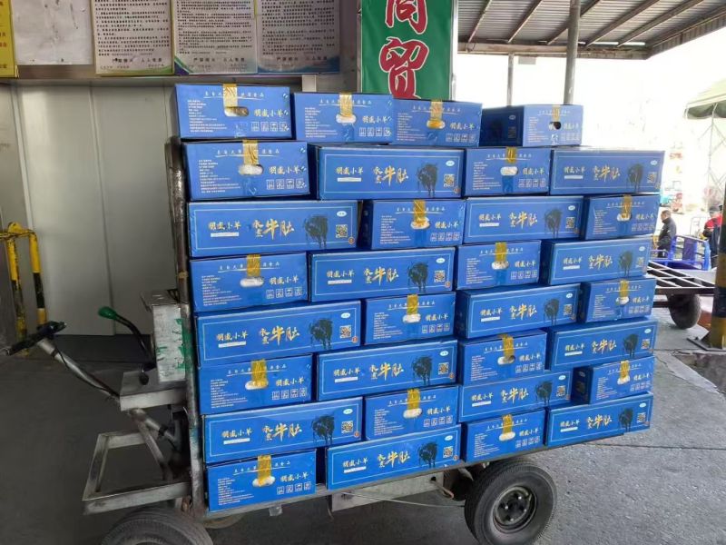 全熟牛肚