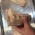 猪背骨，支持分割切块，酱大骨，烤骨头可用