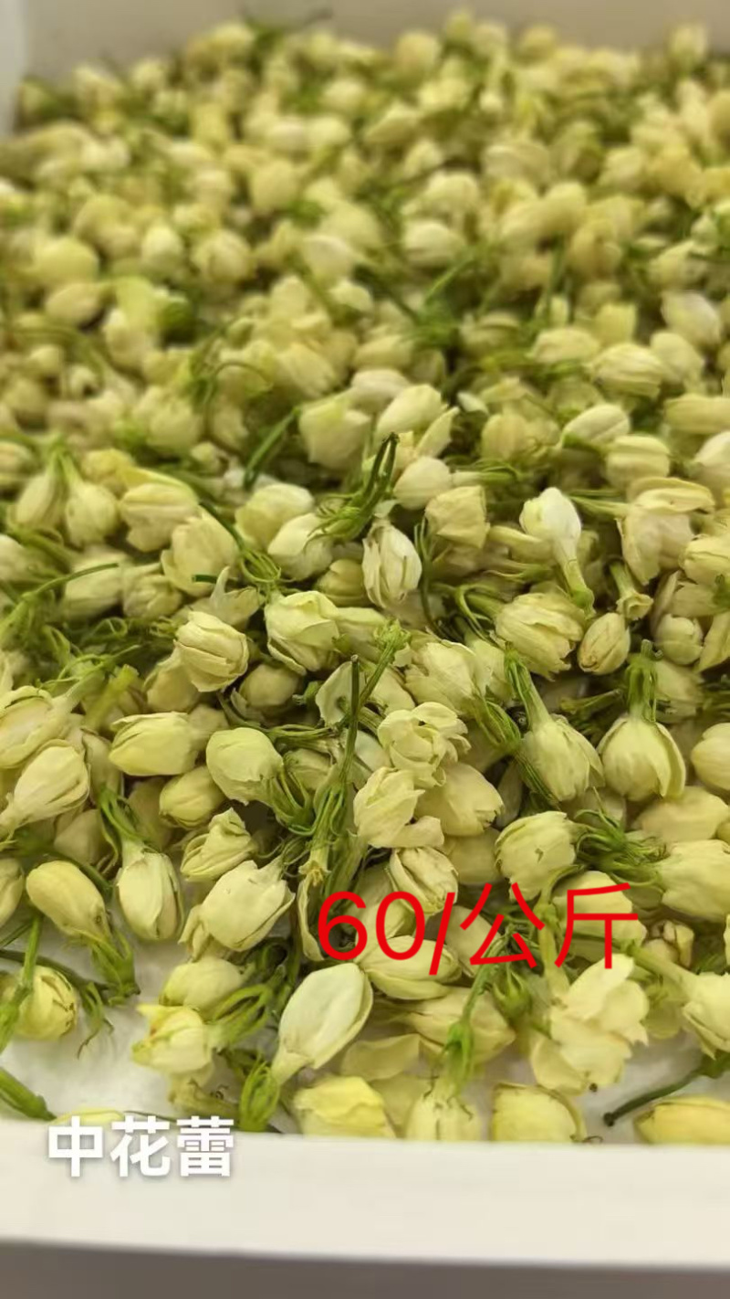 茉莉花干花中花蕾可泡茶可药用大量有货品质优可对接