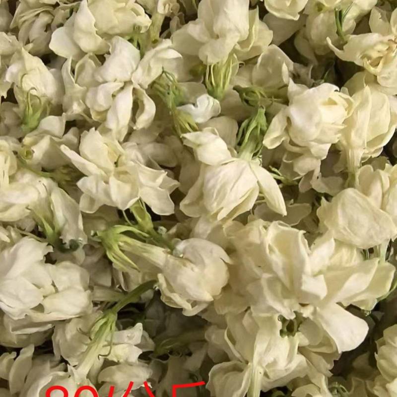 茉莉花鲜花干可药用可泡茶口感清新基地直供可视频看货