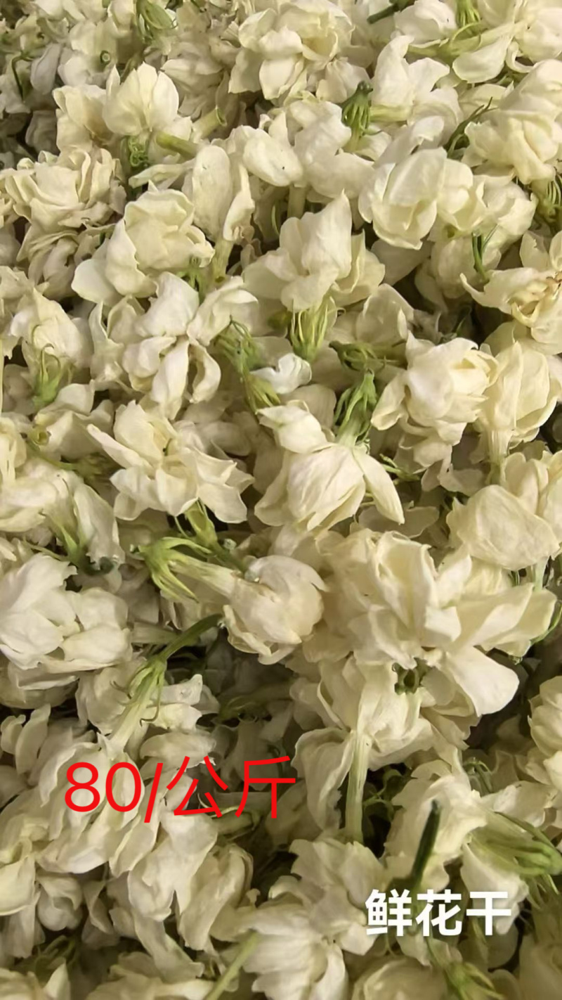 茉莉花鲜花干可药用可泡茶口感清新基地直供可视频看货