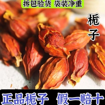 栀子福建栀子正宗红栀子中药材泡茶泡水批发零售