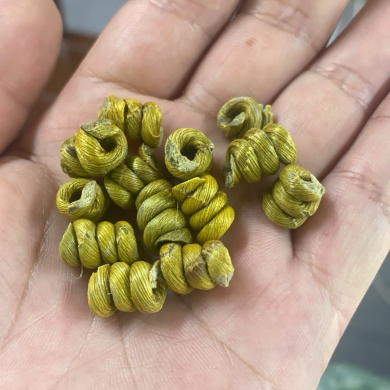 石斛霍山铁皮石斛枫斗新品种大量供应规格齐全，量大从优