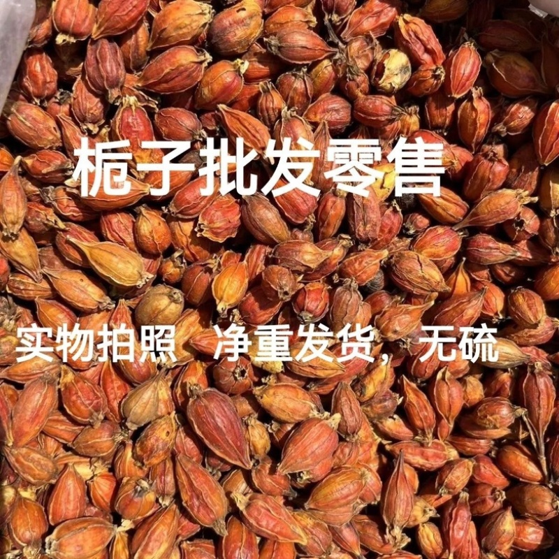 栀子福建栀子正宗红栀子中药材泡茶泡水批发零售